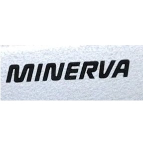 Пластина игольная для Minerva P2Z фото