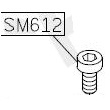 Винт SM612 (original) фото
